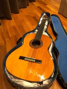 قیمت و خرید گیتار آدمیرا خوآنیتا 3/4